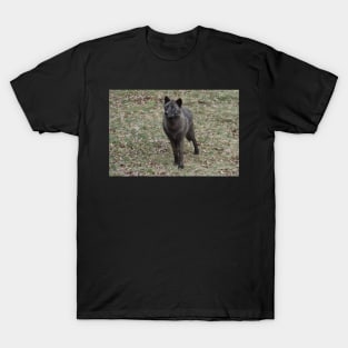 Black Wolf T-Shirt